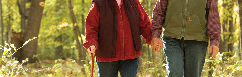 A cropped photo of a senior couple holding hands.