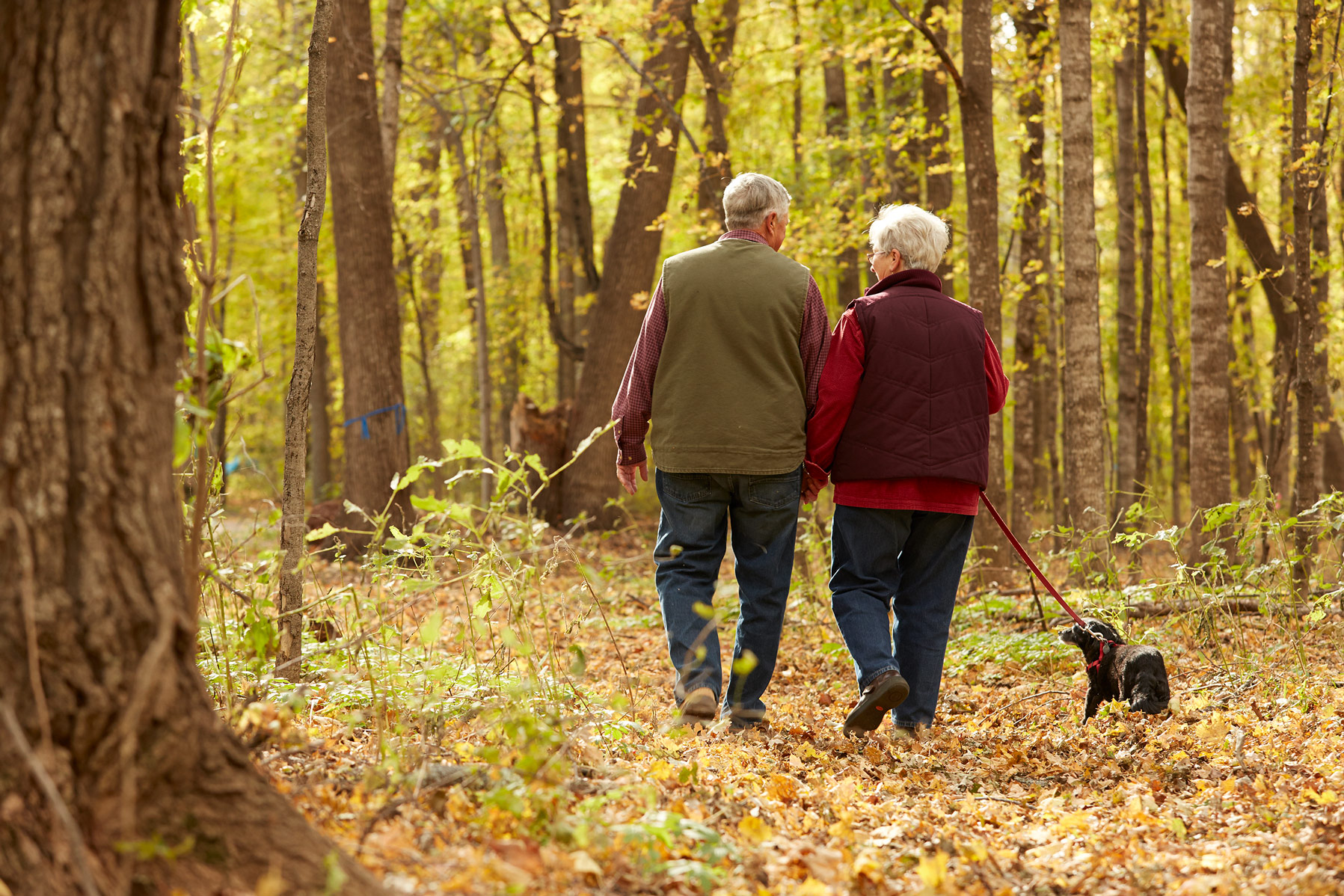 A senior couple walking away from the camera in a wooded area.
