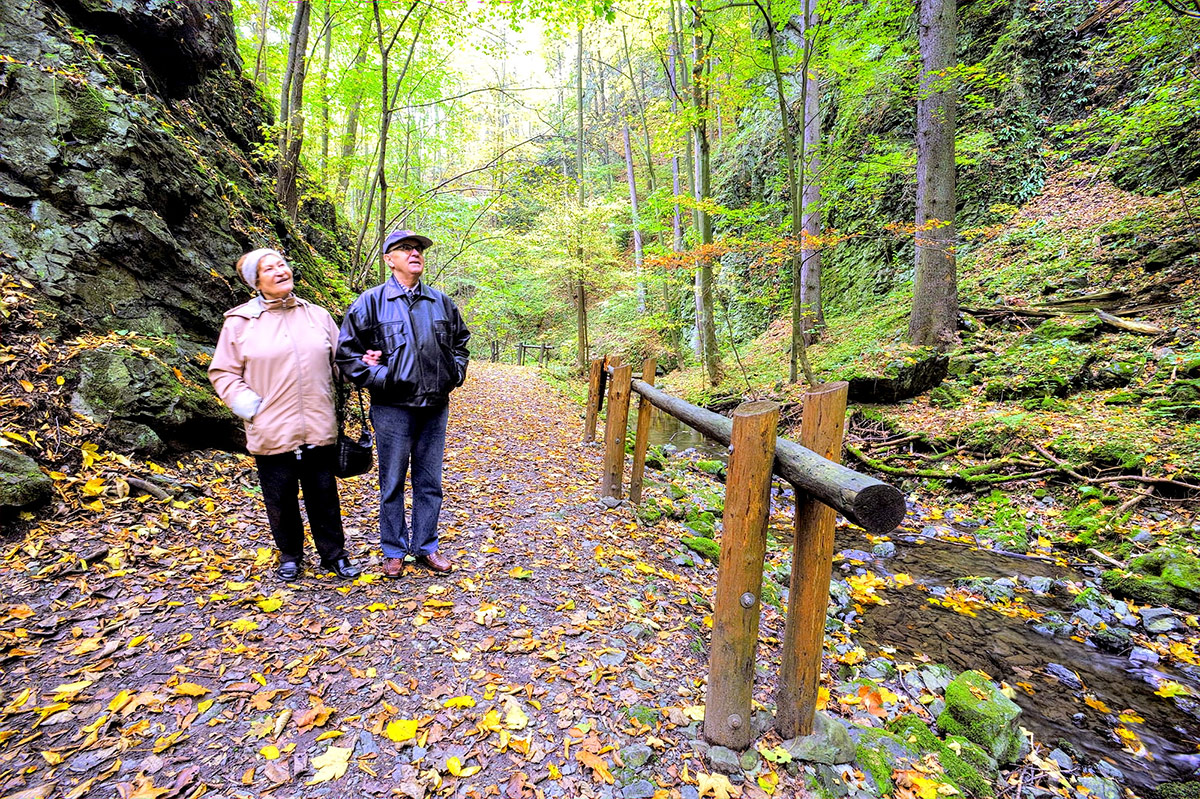 An older couple walking a scenic path in the woods.
